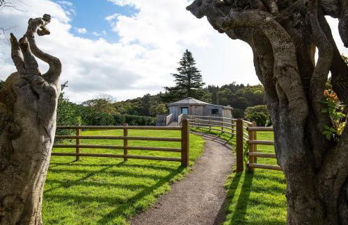 The Treehouse - Foto 2