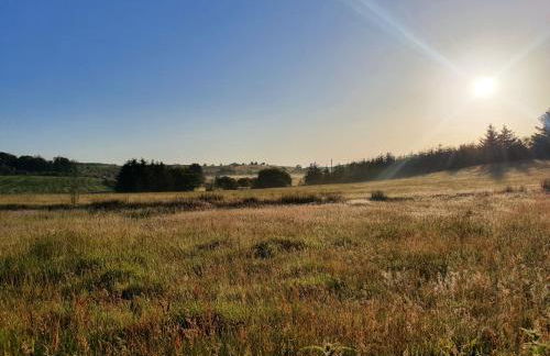 Welshhomestead - Foto 14