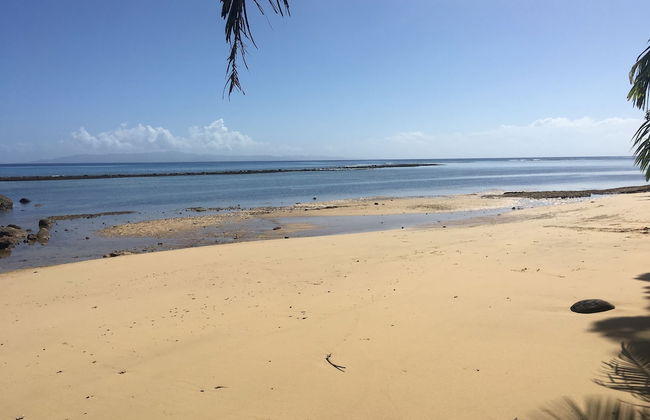 Taveuni Palms - Photo 71