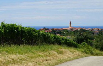 Apartman Aisha - Foto 43