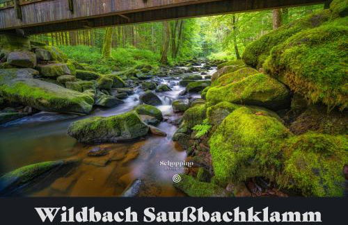 Ferienwohnung am Ilztal - Foto 37