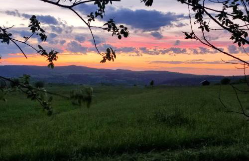 Jabłoniowa Chatka - Foto 30