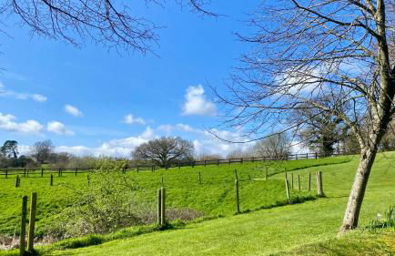 Lodge Nine for 6 with Hot Tub - Spa Resort in Devon - Foto 27