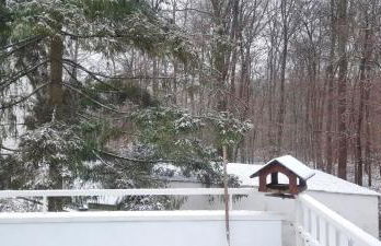 Forest Inn, retreat in nature - Foto 24