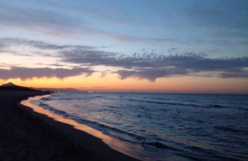 AmaNacer Oliva - Photo 19