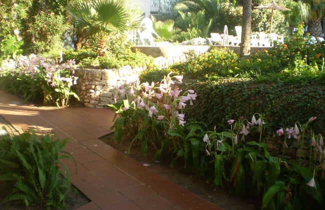 Apartamentos El Oasis - Foto 27