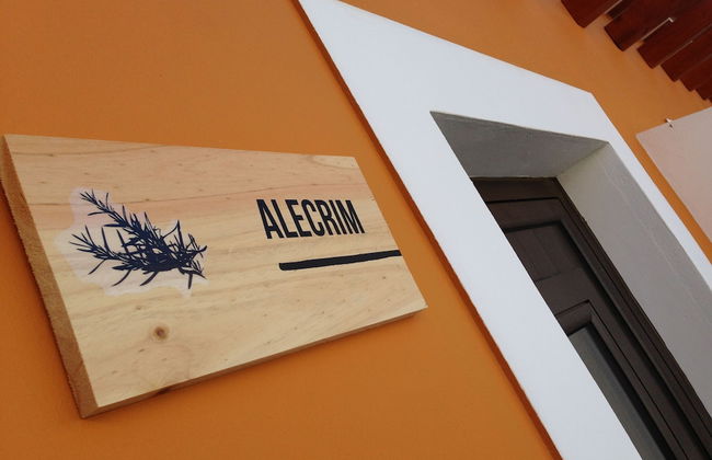 Tons da Terra - Foto 10