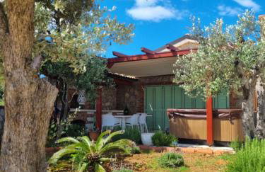 Vila s jacuzzijem i bazenom Mavrinac - Foto 1