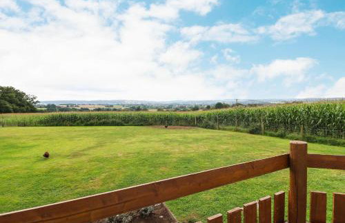 Shepherds Hut - Foto 21