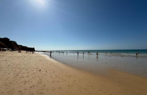 Lugar das Andorinhas - Foto 29