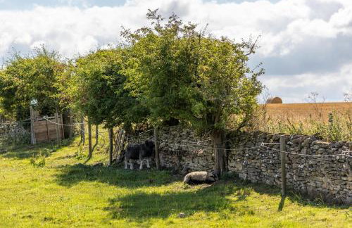 Luxury Farmhouse with Stunning Views and Hot Tub - Foto 46