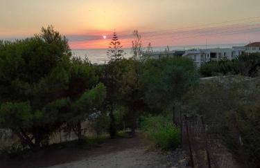 Maria's Home - Foto 10