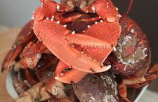 logement avec jardin de bord Mer PORT NAVALO - Foto 10