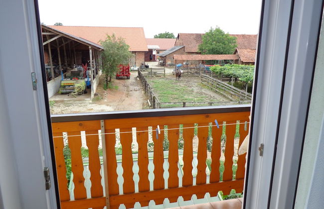 Tourist farm and beekeeping Salamun - Foto 20