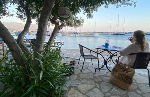 Pantheon Apartments & Studios - Photo 94