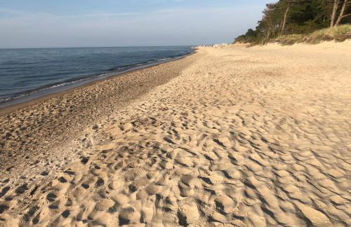 Morski Las - Foto 28