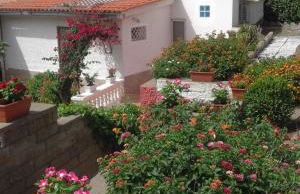 Villetta Mare Ventotene - Foto 18