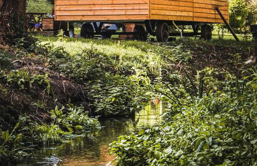 Little Willows - Foto 20