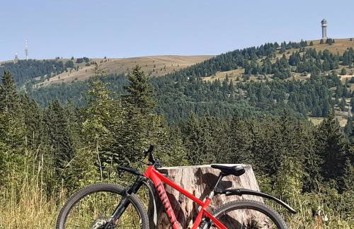 Kopf Frei auf 1000 Meter - Photo 38