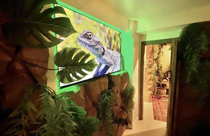 Tropical Lodge SPA Narbonne - Foto 21