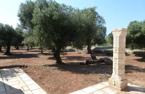 Tenuta Serre - Foto 41