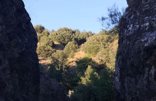 La nueva Escuela - Foto 33