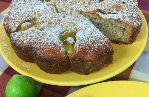 Agriturismo Selvella - Foto 24