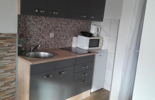 Apartman 1 RIBIČ - Foto 9