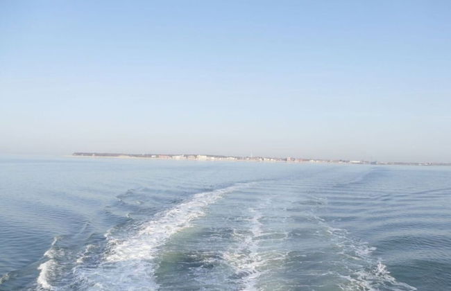 Favorite Place Modern Retreat - Foto 13