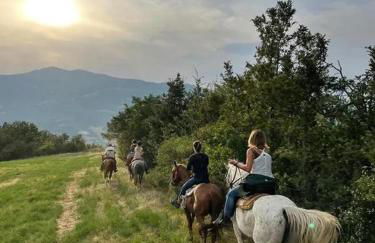 Villetta immersa nel verde - Foto 54