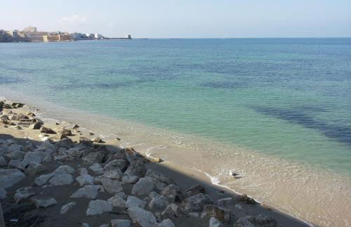 GIARDINO FIORITO 2 WI-FI BICI Free - Foto 24