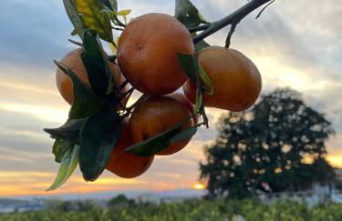 Mandarina Room with incredible view - Foto 25