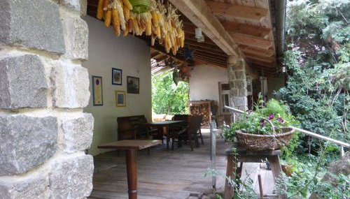 Senfmühle Lubast - Foto 3