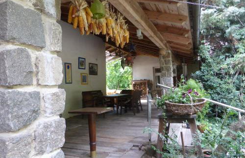 Senfmühle Lubast - Photo 3