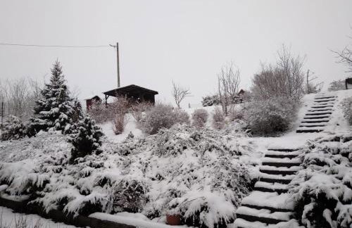 Dżolanda Pokoje - Foto 12