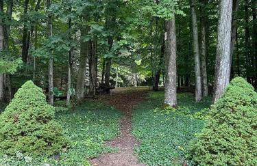 Torch Family Lodge Pvt Acres, Trails Lk Access - Foto 22