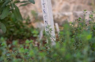 Vila na Kamenu - Foto 21