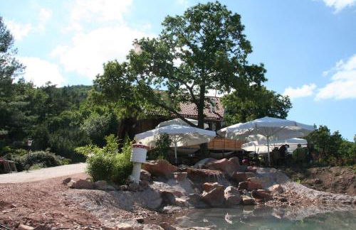 Kastanienhof Apartment Hotel - Foto 45