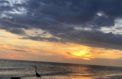 Tropical Oasis on the Gulf Coast - Foto 33