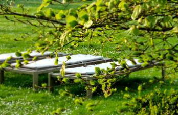 Domaine des Chanoines blancs - Foto 54