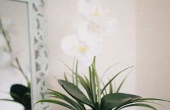 2 Bedroom 2 Bath With Patio On 11th Collins ave - Foto 50