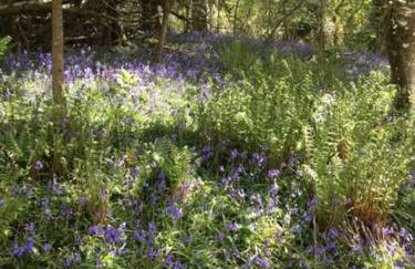 A Tranquil Retreat for Two - Foto 16