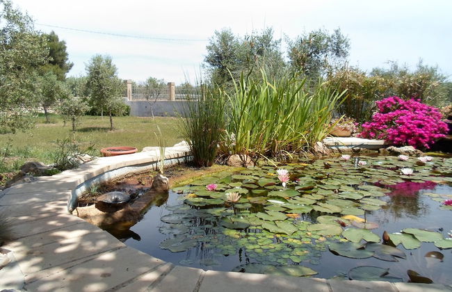 Villa Martina - Foto 21