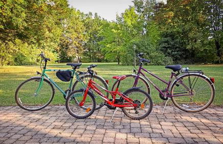 La casetta nel bosco - Photo 12