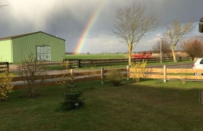 Yellow - Peter's Modern Retreat - Photo 11