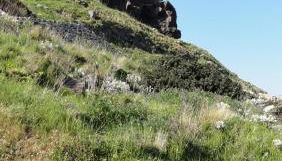 Terratetto Indipendente Capraia - Foto 5, Other