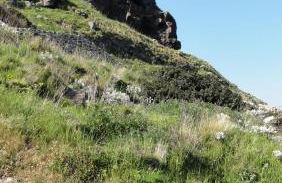 Terratetto Indipendente Capraia - Foto 5