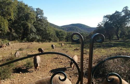 Casa rural Alicia - Foto 26