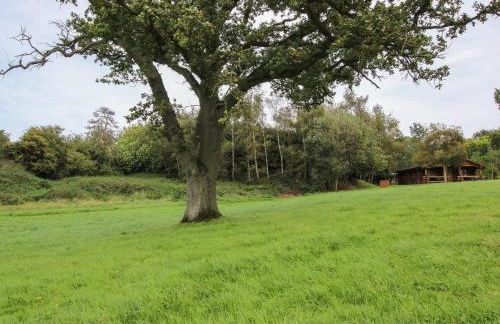 Brynallt Country Park - Foto 21