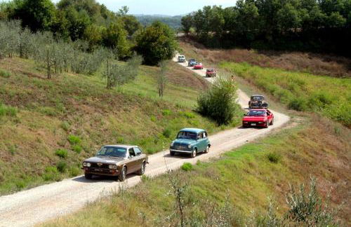Agriturismo il Pino - Bioagricoltura - Photo 27